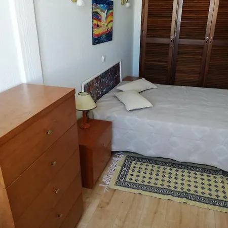 - Coral T1 阿尔布费拉